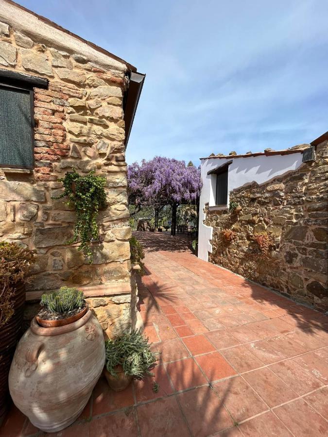 Tenuta Luogo Marchese 폴리나 외부 사진