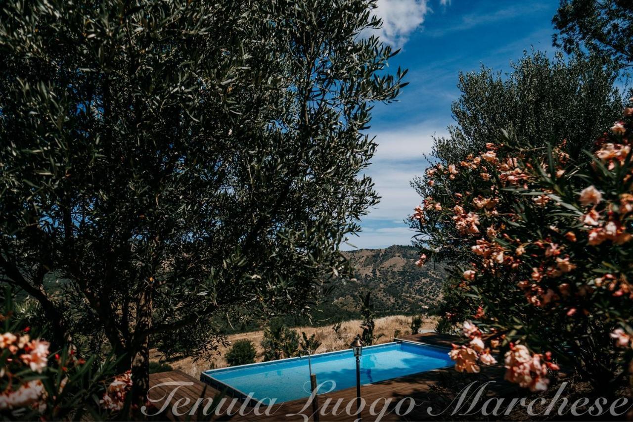 Tenuta Luogo Marchese 폴리나 외부 사진